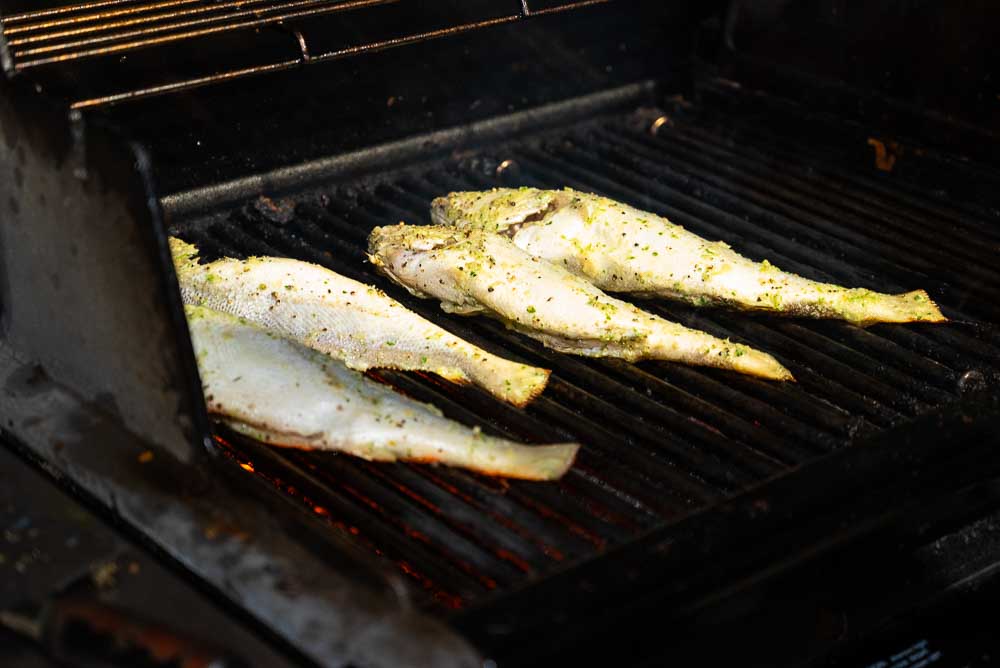 fish on grill